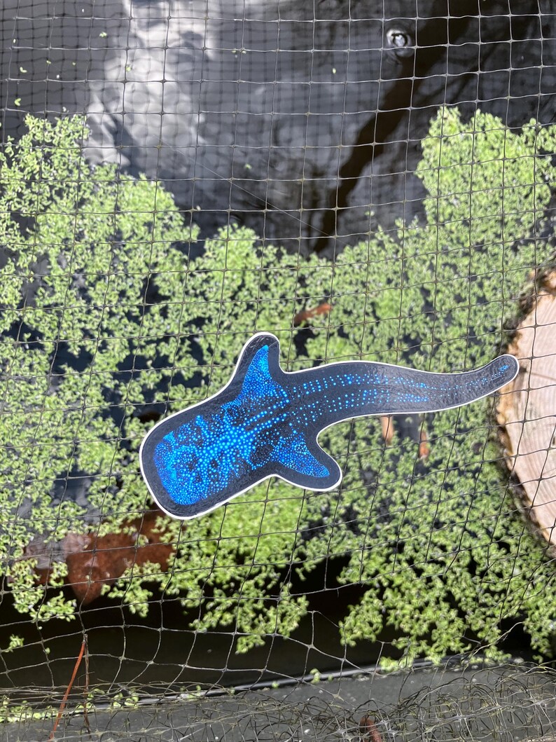 Bioluminescent Whale Shark Sticker: Glossy Vinyl original art image 13
