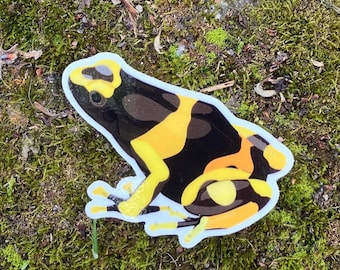 Yellow Banded Poison Dart Frog Glossy Vinyl Sticker