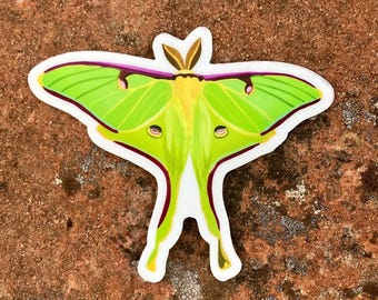 Luna Moth Sticker, Matte Vinyl Die Cut Sticker