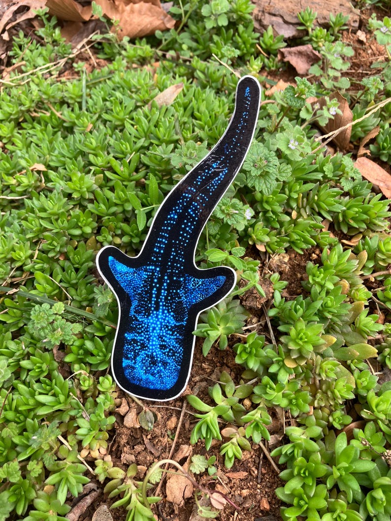 Bioluminescent Whale Shark Sticker: Glossy Vinyl original art image 2