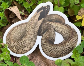 Pegatina de serpiente hocico de cerdo occidental: vinilo mate troquelado