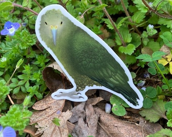 Pegatina de Kea, pegatina de loro de vinilo mate