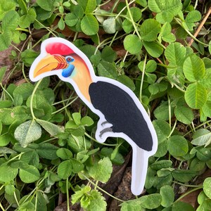 May include: A colorful sticker of a hornbill bird. The bird has a red crest, a yellow and orange beak, and a black body. The sticker is set against a background of green clover.