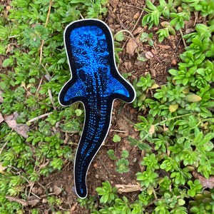 Bioluminescent Whale Shark Sticker: Glossy Vinyl original art image 4