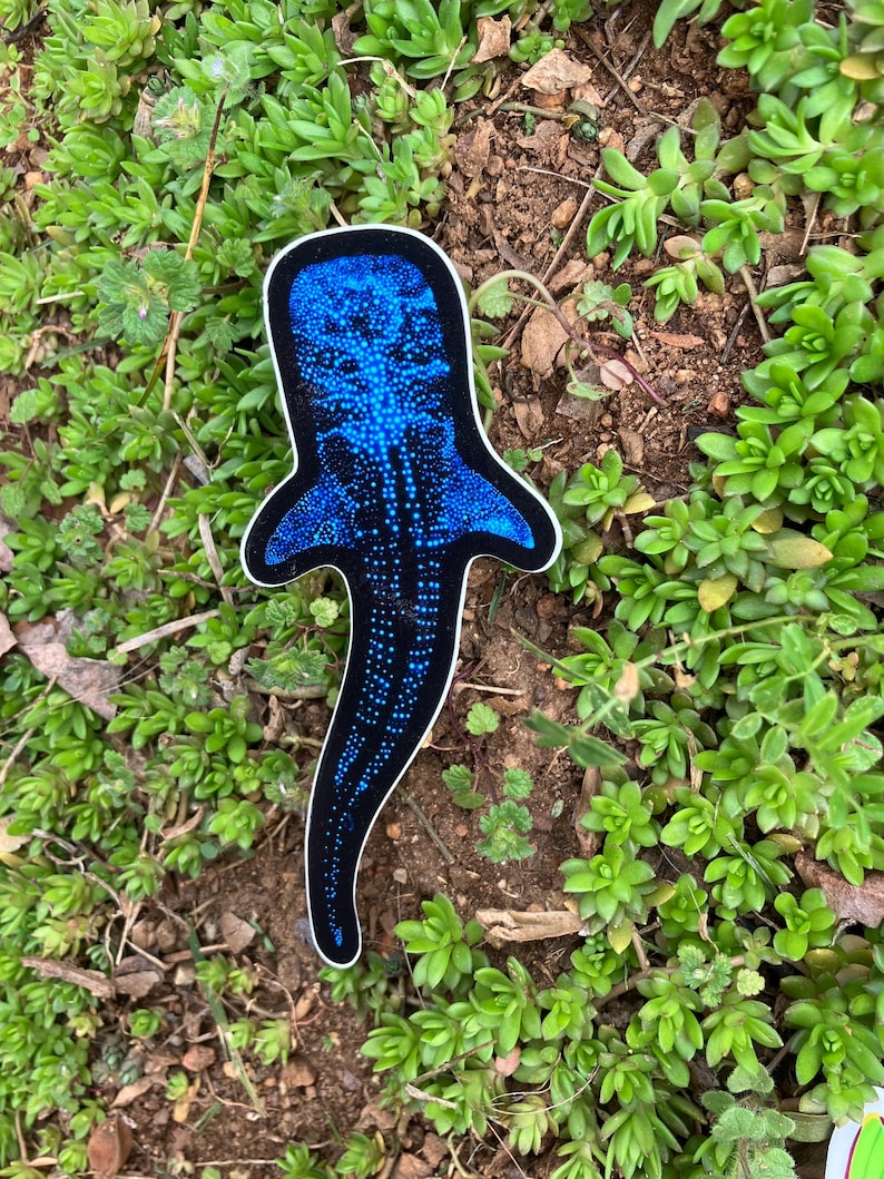Bioluminescent Whale Shark Sticker: Glossy Vinyl original art image 4