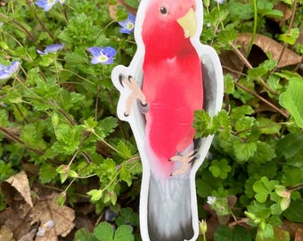 Cacatúa galah, cacatúa rosa y gris, pegatina de loro de vinilo mate