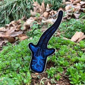Bioluminescent Whale Shark Sticker: Glossy Vinyl original art image 7