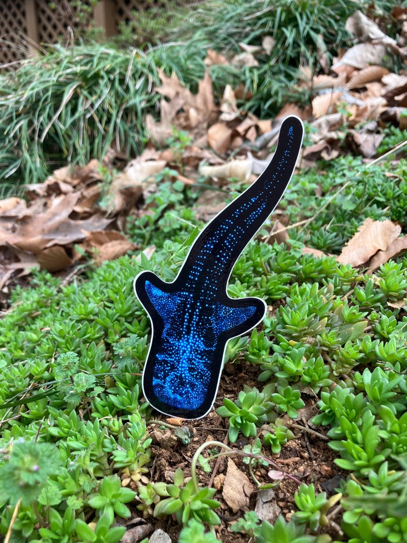 Bioluminescent Whale Shark Sticker: Glossy Vinyl original art image 7
