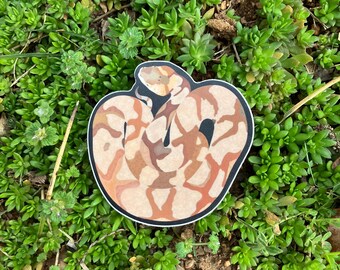 Pegatina de serpiente cabeza de cobre: Ilustración original, vinilo troquelado (7,6 x 7,6 cm)