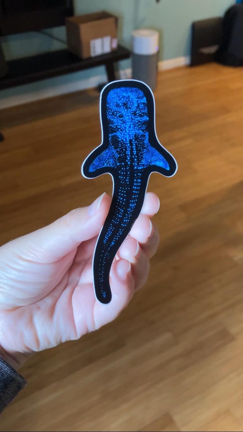 Bioluminescent Whale Shark Sticker: Glossy Vinyl original art image 3