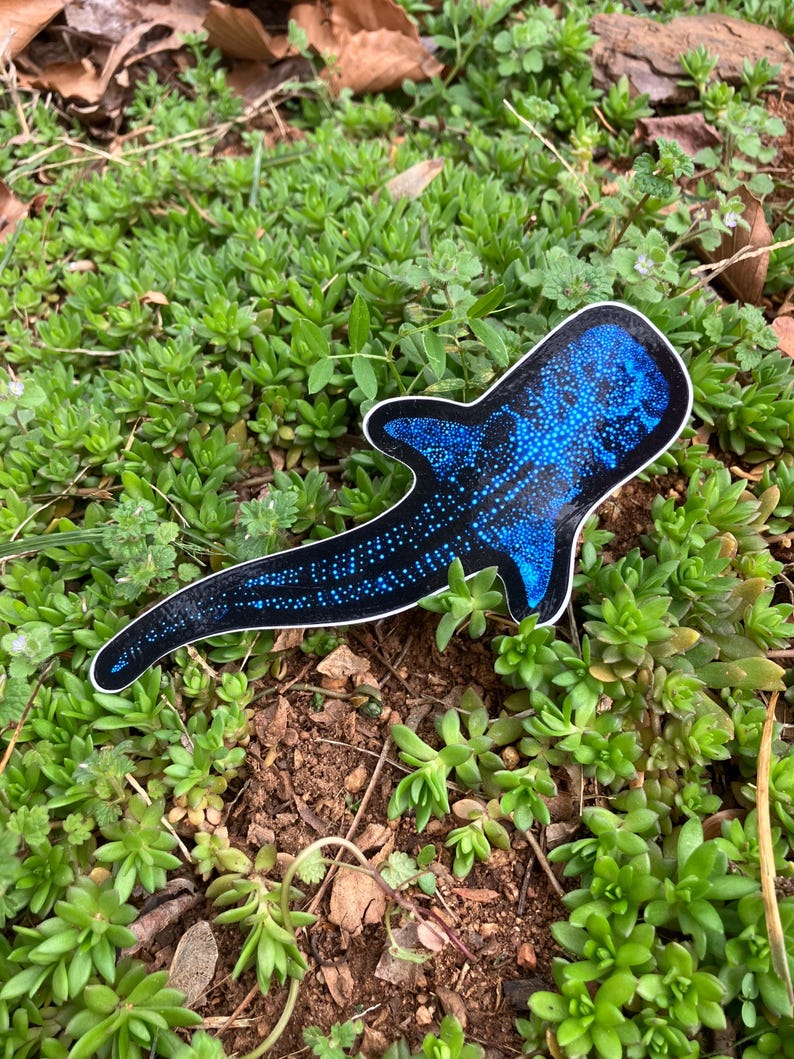 Bioluminescent Whale Shark Sticker: Glossy Vinyl original art image 10