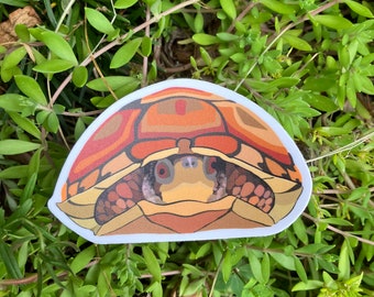 Pegatina de tortuga de caja del este: vinilo mate troquelado