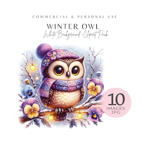 Clipart hibou hiver - 10 décorations aquarelle animaux de la forêt, fichiers JPEG haute résolution pour clipart de chambre d'enfant, scrapbooking et créations en papier, téléchargement numérique