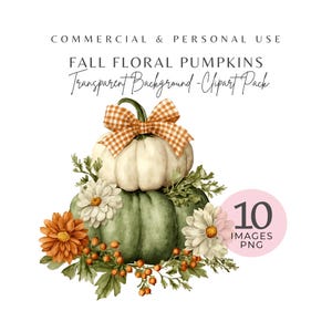 Calabaza floral de otoño PNG - 10 imágenes prediseñadas de calabazas de otoño con acuarela, PNG de alta resolución para manualidades y álbumes de recortes de otoño, descarga digital