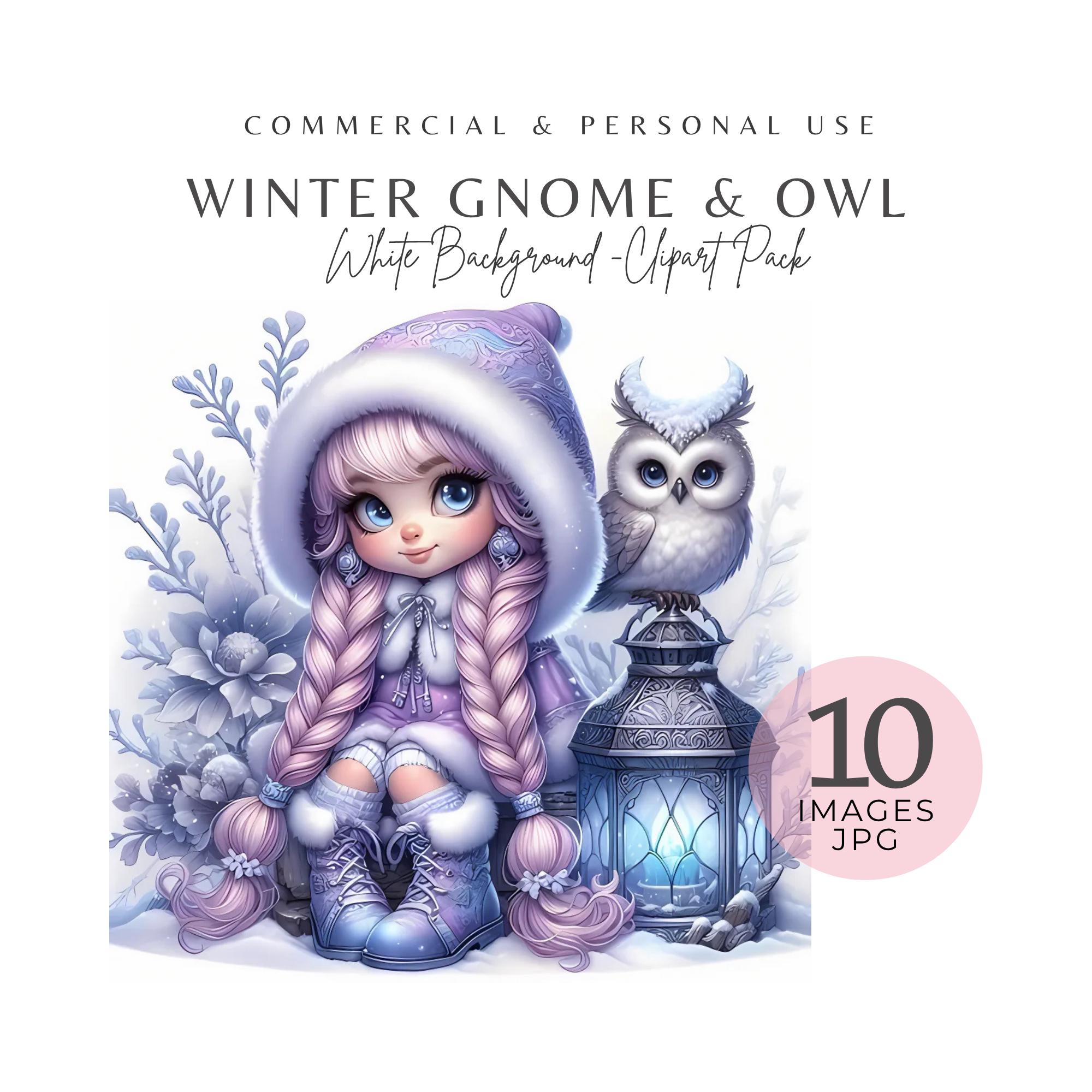 Winter Gnome Owl Clipart Set: 10 Watercolor Christmas Crafts JPGs (Digital Download)