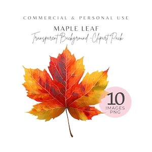 Aquarell Ahornblatt Clipart - 10 Herbstlaub PNGs für Herbst Handwerk & Scrapbooking, digitaler Download