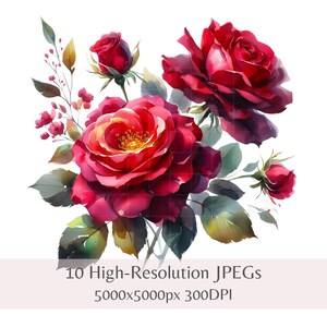 Red Rose Clipart – 10 Watercolor Spring Florals | Botanical Flower JPEGs for Scrapbooking, Junk Journals, Paper Crafts, Instant Download