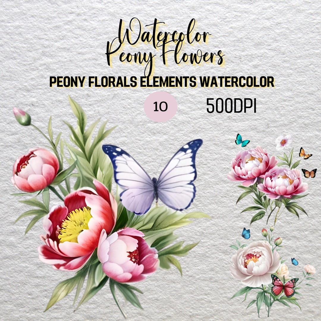Pink Peonies Clipart Bundle, Watercolor Flowers Clipart, Valentines PNG ...