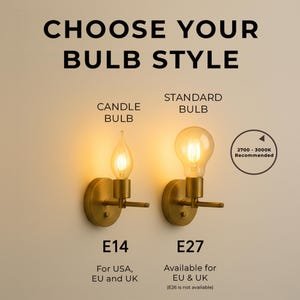 Olive Wall Sconce Lighting – Custom Resin and Hardware Options image 11