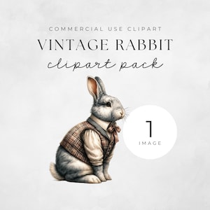 Vintage Conejos de Pascua Clipart / Conejito PNG / Diario basura / Liebre Clipart / Arte infantil / Imágenes para hacer tarjetas / Conejito clásico disfrazado