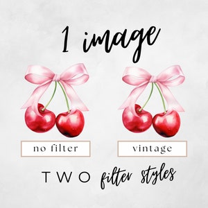 May include: Two watercolour illustrations of cherries with pink bows. The cherries on the left are shown without a filter, while the cherries on the right have a vintage filter applied. The text "1 image" is at the top of the image. The text "no filter" is below the cherries on the left. The text "vintage" is below the cherries on the right. The text "TWO filter styles" is at the bottom of the image.