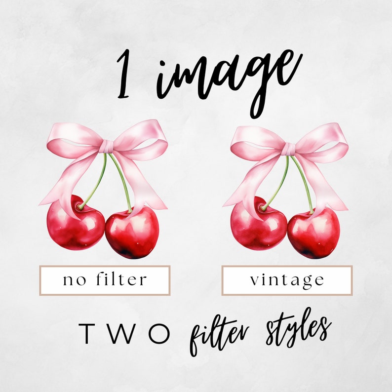 May include: Two watercolour illustrations of cherries with pink bows. The cherries on the left are shown without a filter, while the cherries on the right have a vintage filter applied. The text "1 image" is at the top of the image. The text "no filter" is below the cherries on the left. The text "vintage" is below the cherries on the right. The text "TWO filter styles" is at the bottom of the image.