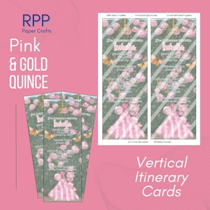 May include: Two vertical itinerary cards featuring a pink and gold theme with floral accents and a central illustration of a person in a pink gown. The text includes the name Isabella, event details, and the heading The Quinceanera Celebration.