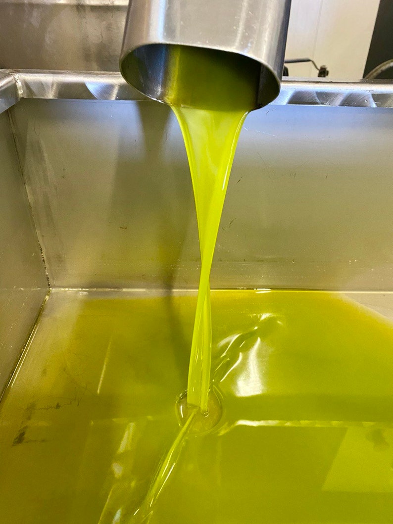 May include: A stainless steel spout pours bright green olive oil into a stainless steel container. The oil is filling the container and creating a ripple effect.