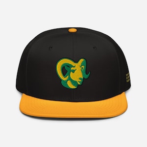 The Last of Us Inspired – Bighorns &quot;University of Eastern Colorado&quot; Snapback