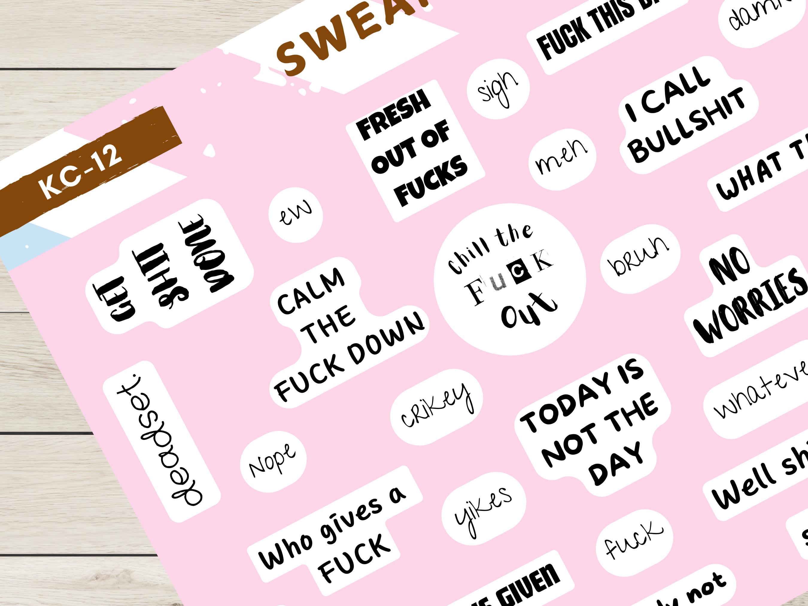 Funny Swear Word Sticker Sheet 4x6, Sarcastic Quote Stickers, Adult ...