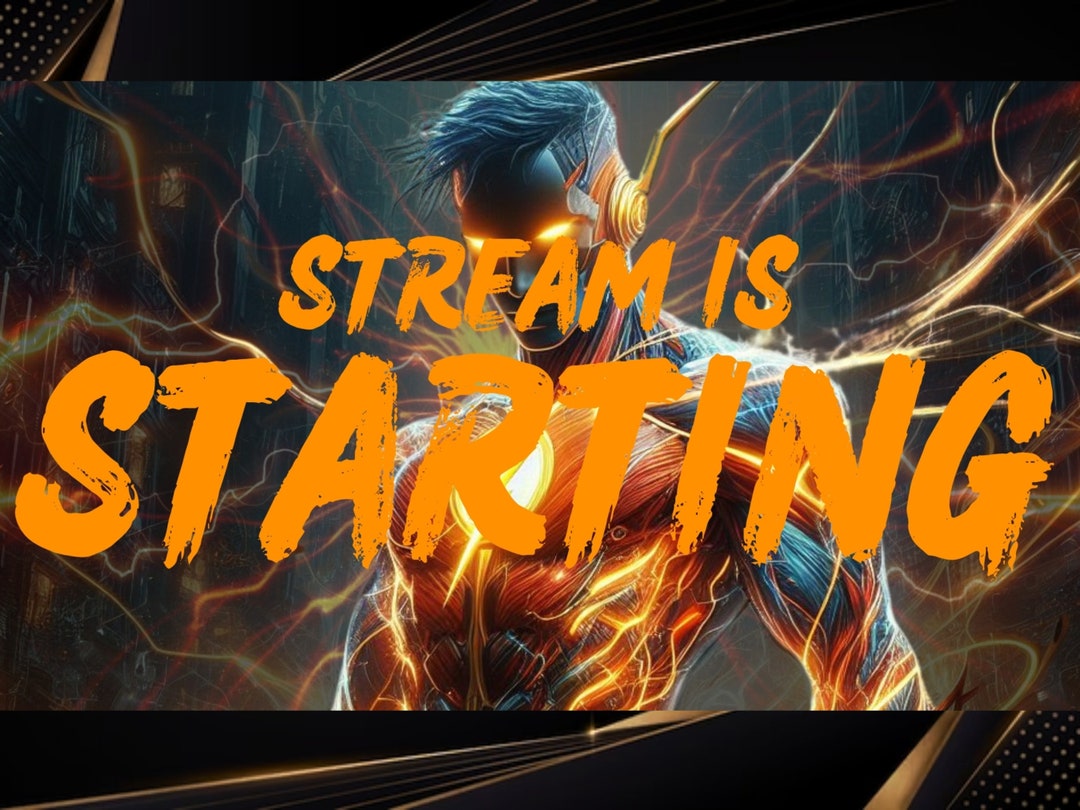Download Digital Fla-sh Stream Panels and Screen for Your Lofi Twitch ...