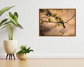 Bee-eater in Kruger National Park South Africa | Wall Art Print | Digital Download
