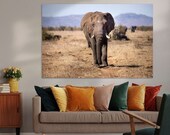 Elephant in Kruger National Park South Africa | Wall Art Print | Digital Download