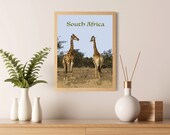 Cartoon Giraffe Kruger Park South Africa