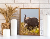Elephant in Kruger National Park South Africa | Wall Art Print for living room | Digital Download