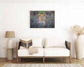 Lion Cub in Kruger National Park South Africa | Wall Art Print | Digital Download