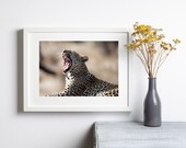 Leopard in Kruger National Park South Africa | Wall Art Print | Digital Download