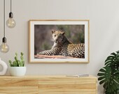Leopard in Kruger National Park South Africa | Wall Art Print | Digital Download