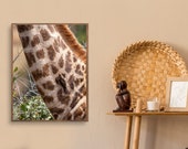 Giraffe in Kruger National Park South Africa | Wall Art Print | Digital Download