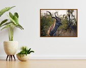 The Greater Kudu | Kruger National Park South Africa | Wall Art Print | Digital Download