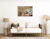 Leopard in Kruger National Park South Africa | Wall Art Print | Digital Download