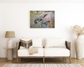 Elephant in Kruger National Park South Africa | Wall Art Print | Digital Download