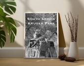 Leopard in Kruger National Park South Africa | Wall Art Print | Digital Download | Black and White