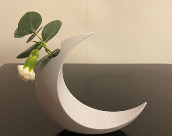 Crescent Moon Flower Vase for Home Decor and Decoration