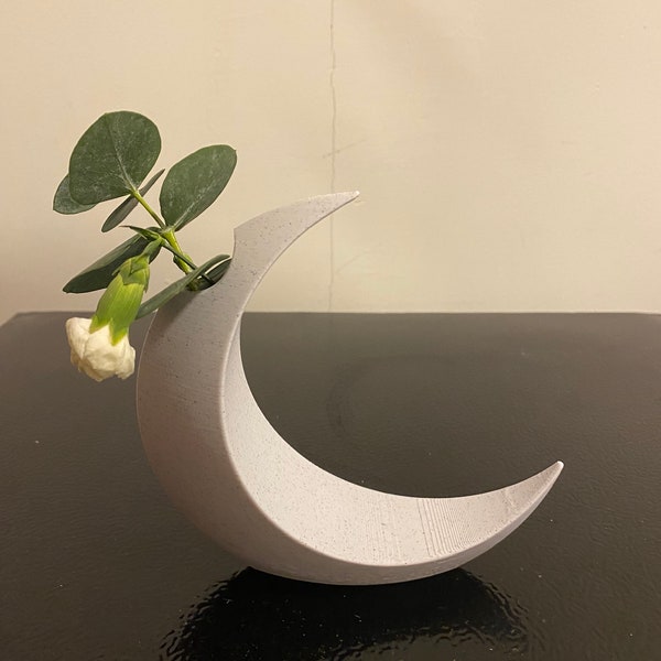 Crescent Moon Flower Vase for Home Decor and Decoration