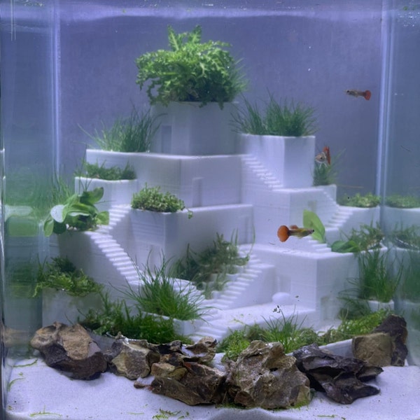 Acquario per pesci Betta stampato in 3D, architettura, PLA, design dell'acquario