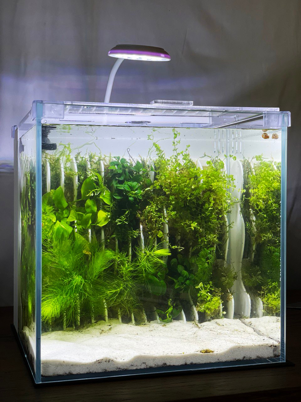 3d printed fish tank decorations online