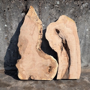 Op de afbeelding: Twee onregelmatig gevormde, lichtbruine houten planken met natuurlijke randen. De planken zijn geplaatst tegen een grijze betonnen muur, die de nerf en textuur van het hout laat zien. Het hout heeft een lichte, natuurlijke afwerking.