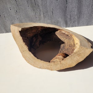 Natural oak wood with hollow Unique piece of wood Wooden stele Wooden decoration Oak wood disc Craft wood, wood decoration, DIY