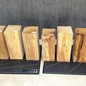 Op de afbeelding: Een verzameling van acht rechthoekige houten blokken met verschillende nerfpatronen en kleuren, variërend van lichtbeige tot donkerbruin. De blokken zijn in een rij gerangschikt op een zwart rasteroppervlak, waarbij hun natuurlijke houttexturen worden getoond.